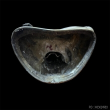 พระพุทธชินสีห์ ภปร วัดบวรนิเวศ ปี2554 หน้าตัก12นิ้ว