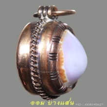 เบี้ยแก้หลวงพ่อนุ่ม วัดนางใน เลี่ยมนาคเก่า จ.อ่างทอง(แช้มป์)