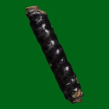 ตะกรุดยันต์ตรีนิสิเห พอกผงจุ่มรักหลวงปู่กลิ่น วัดสะพานสูง 