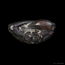 พระปิดตายันต์ยุ่ง หลวงพ่อแช่ม เนื้อโลหะผสม