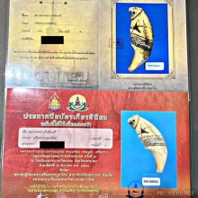 เขี้ยวเสือหลวงพ่อนก วัดสังกะสี 