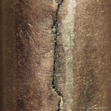 ตะกรุดเป่าแล่นหลวงพ่อบุญยัง วัดบางจาก ทองแดงปลอกนาค 3 นิ้ว