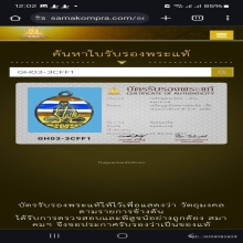 เหรียญรูปไข่เนื้อเงินลงยาสีธงชาติหลวงพ่อเดิม สวยแชมป์