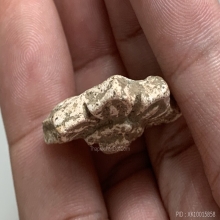 ดอกธาตุ (พระธาตุ) ยุคหริภุญไชย 1,300 กว่าปี