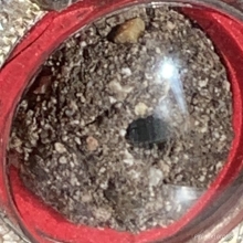 เม็ดประคำพราย 59 ตน อ.เปล่ง บุญยืน