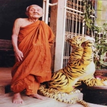 ปลัดขิกนางครวญ(ตัวครู) หลวงพ่อคงวังสรรพรส(11นิ้ว)+บัตรรับรอง