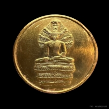 เหรียญทองคำ สธ นาคปรก