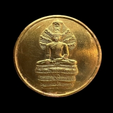 เหรียญทองคำ สธ นาคปรก