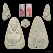 สังกจายน์วัดประสาทเนื้อเขียวก้านมะลิรางวัลที่1/2งาน
