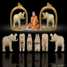 ช้าง หลวงพ่อหอม วัดชากหมาก องค์ดารา