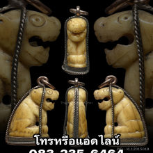 เสือหลวงพ่อสาย วัดคลองด่าน นิยมหางกริช พร้อมกะเช้านากโบราณ