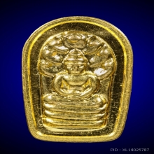 เหรียญนาคปรก หลวงปู่ศุข (วัดปากคลองมะขามเฒ่า)
