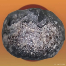 เม็ดประคำหลวงปู่บุญวัดกลางบางเเก้ว ยุคต้นรักเป็นร้อยปี
