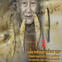 “เขี้ยวเสือมหาอำนาจ” หลวงพ่อเปิ่น วัดบางพระ จ.นครปฐม