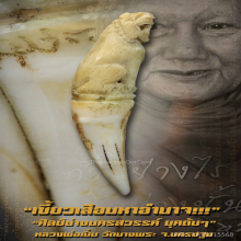 “เขี้ยวเสือมหาอำนาจ” หลวงพ่อเปิ่น วัดบางพระ จ.นครปฐม
