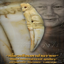 “เขี้ยวเสือมหาอำนาจ” หลวงพ่อเปิ่น วัดบางพระ จ.นครปฐม