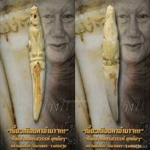 “เขี้ยวเสือมหาอำนาจ” หลวงพ่อเปิ่น วัดบางพระ จ.นครปฐม