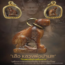 “เสือ” (ศิลป์วัดกลาง) หลวงพ่อปาน วัดคลองด่าน จ.สมุทรปราการ
