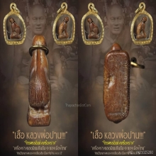 “เสือ” (ศิลป์วัดกลาง) หลวงพ่อปาน วัดคลองด่าน จ.สมุทรปราการ