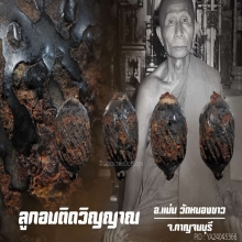 หลวงพ่อแน่น วัดหนองขาว จ.กาญจนบุรี