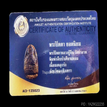 ปิดตาหลวงปู่จีน วัดท่าลาด พิมพ์เศียรแหลม