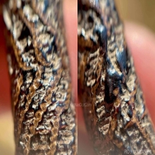 ตะกรุดสาริกา​หลวงปู่ศุข​ วัด​ปากคลอง​มะขาม​เฒ่า​