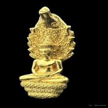 #พระทองคำ.. พระนาคปรกยโสธร ประจำวันเกิด หลวงปู่โสฬส
