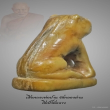 เขี้ยวเสือหลวงพ่อปาน วัดคลองด่าน 
