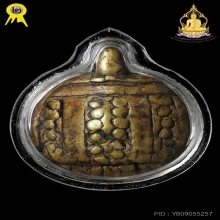 มันใหญ่มาก พญาเต่าเรือนยุคต้น หลวงพ่อเงิน ดีกรีรองแชมป์สมาคม