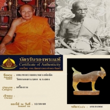 แพะหลวงพ่อลัดวัดหนองกระบอก ตัวจริง สวยแชมป์