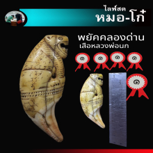 พยัคคลองด่าน เสือ ลพ นก แชมป์