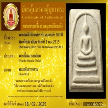 100ปีวัดระฆัง พิมพ์นิยม