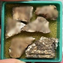 ชิ้นส่วนฐานสมเด็จบางขุนพรหมกรุใหม่