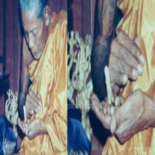 ปลัดขิกไม้กัลปังหา หลวงพ่อยิด วัดหนองจอก