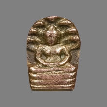 พระนาคปรก ท้ายตลาด เนื้อทองคำ