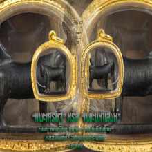 “แพะเศรษฐี” “แพะมหาเสน่ห์” หลวงพ่ออ่ำ วัดหนองกระบอก จ.ระยอง