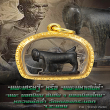 “แพะเศรษฐี” “แพะมหาเสน่ห์” หลวงพ่ออ่ำ วัดหนองกระบอก จ.ระยอง