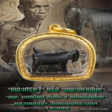 “แพะเศรษฐี” “แพะมหาเสน่ห์” หลวงพ่ออ่ำ วัดหนองกระบอก จ.ระยอง