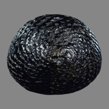 เบี้ยแก้ หลวงปู่เพิ่ม วัดกลางบางแก้ว จ.นครปฐม