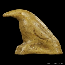 นกสาริกา หลวงพ่อสนิท วัดลำบัวลอย 