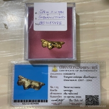 +บัตรสมาคม วัวธนู หลวงพ่อพุฒ วัดกลางบางพระ