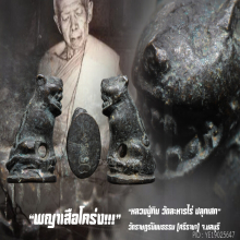 “พญาเสือโคร่ง” วัดราษฎร์นิยมธรรม อ.ศรีราชา จ.ชลบุรี