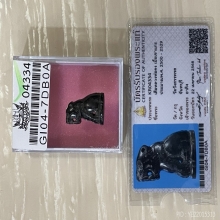 +บัตรสมาคม เขาควายเผือกแกะ เสือหลวงพ่อคง วัดวังสรรพรส