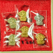 พระปรกใบมะขาม ชุดทองคำ 