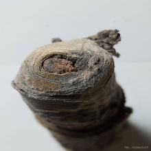 Takrudtong Amulet Luangpoo Tea Kongthong Wat Samngam 1942