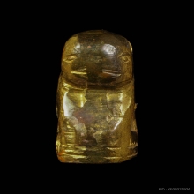 เสือปีกกา