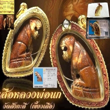 เสือหลวงพ่อนกวัดสังกะสี(เขี้ยวเสือ)