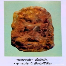 พระนาคปรกศรีวิชัย เนื้อดินดิบ กรุเขาศรีวิชัย สุราษฎร์ธานี