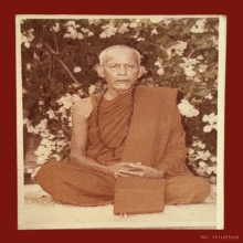 รูปถ่ายหลวงปู่ตื้อ หลังเฟื่องฟ้า