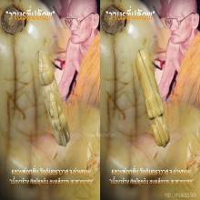 ”วานรขี่ปลัด” (ยุคต้น) หลวงพ่อกลั่น วัดอินทราวาส จ.อ่างทอง